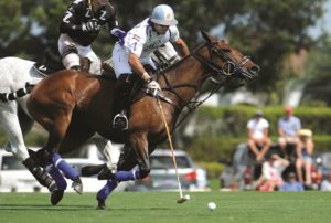eau palm beach resort and spa international polo club