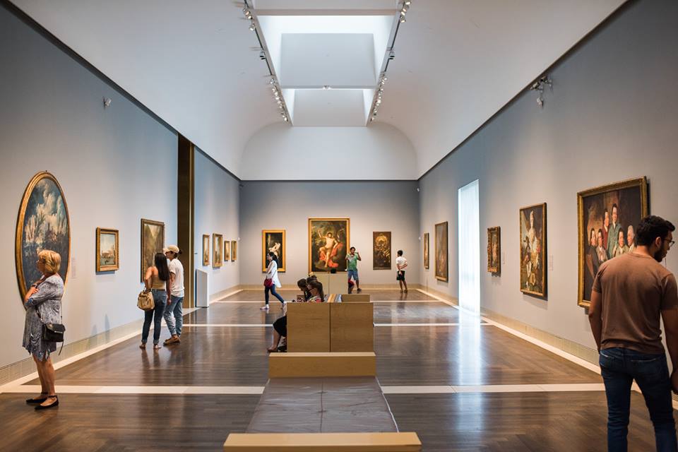 The Museum of Fine Arts, Houston wowed The New York Times. 