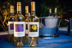  (Photo by Michelle Watson/CatchlightGroup.com)