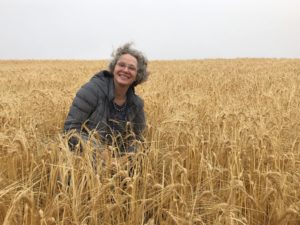 My sister, Kate Maher, enveloped in barley. Our grandfather might have laughed when we asked what grain grew in this field. (Photo by Mary Margaret Hansen)
