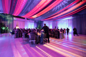 Curator’s Cirlce HMNS-1180