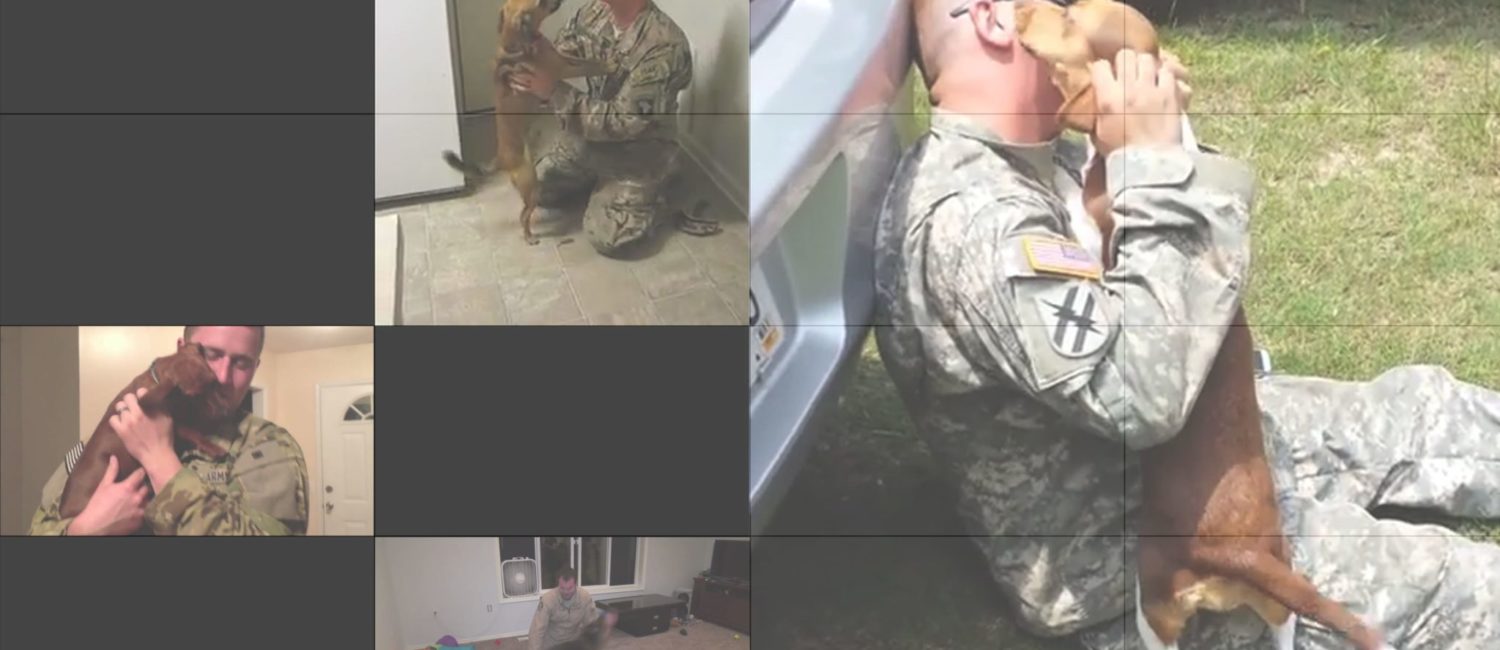 Emmanuel Van der Auwera, Home, 2015, Multi screen video installation (Collection of 140 amateur footages of marines homecoming in loop)