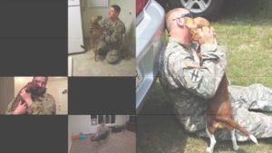 Emmanuel Van der Auwera, Home, 2015, Multi screen video installation (Collection of 140 amateur footages of marines homecoming in loop)