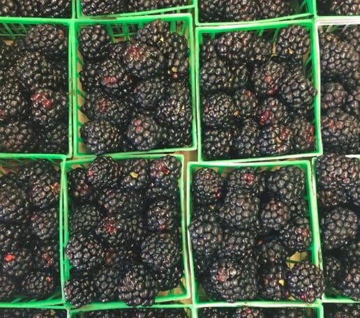 Mike Atkinson doesn't sell any produce he wouldn't eat himself. 