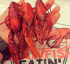 LA crawfish