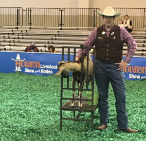 rodeo goat milking championship