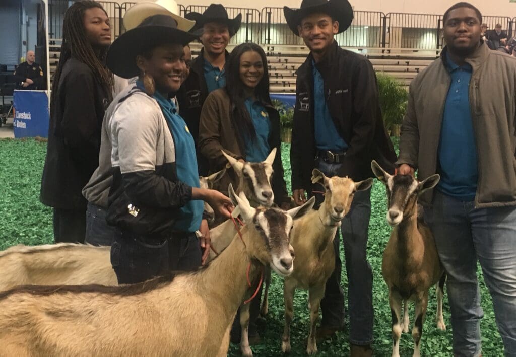 The goats had different coats and colors but were all approximately the same size. 