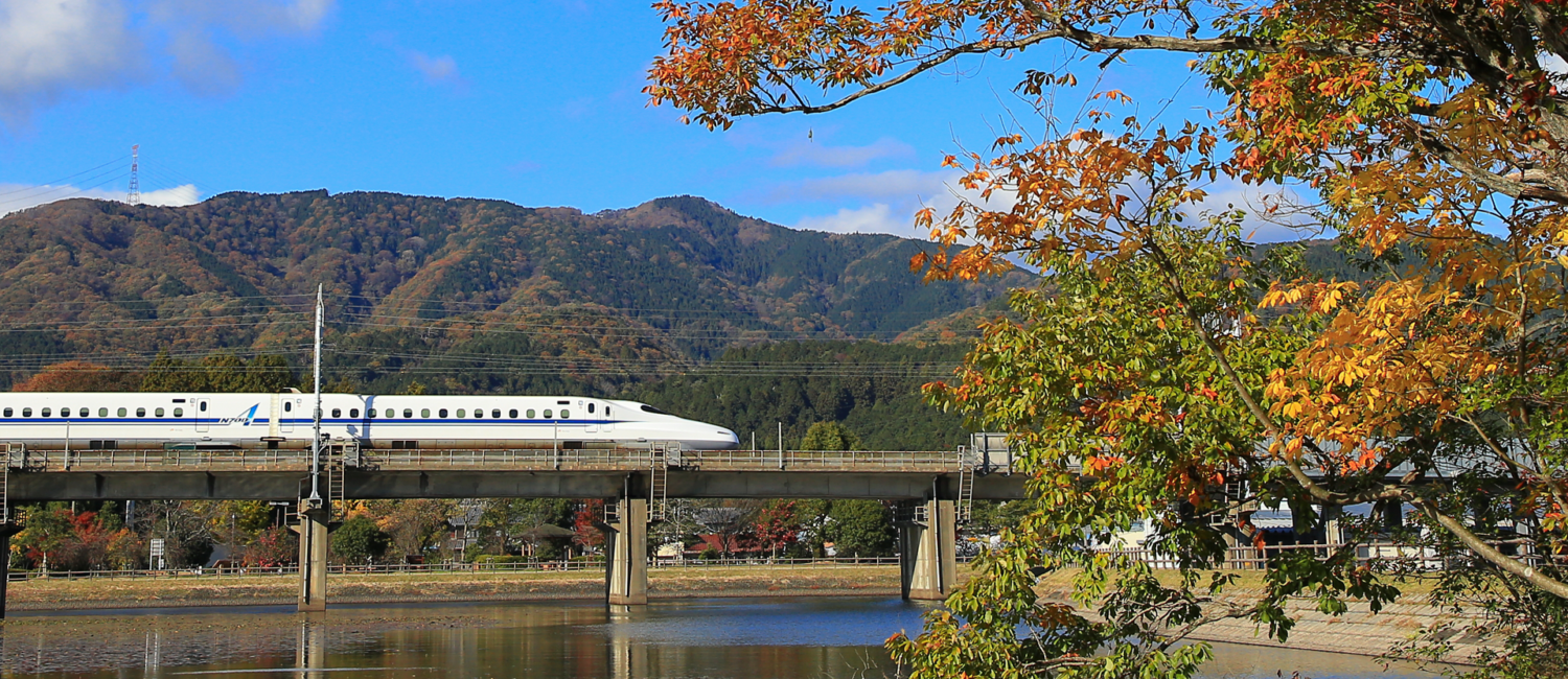 bullet train eco