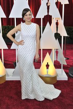 Marion Cotillard looked delightful in Dior at the 2015 Oscars.
