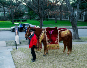 Equest’s Amigo greeting guests. (Photo by Bob Manzano)