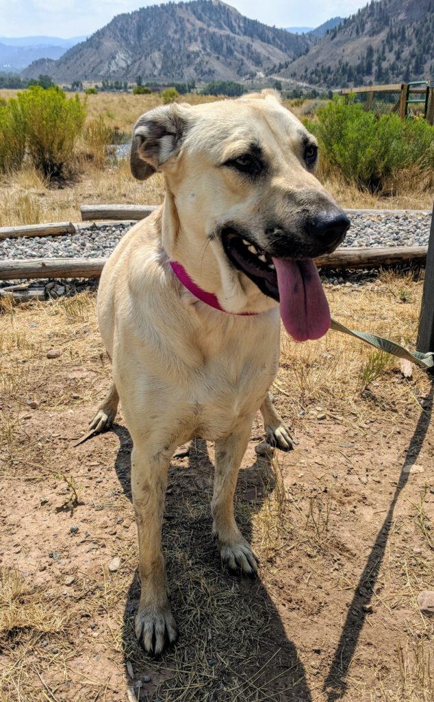 We would die 4 Apollonia, a RPM success story.