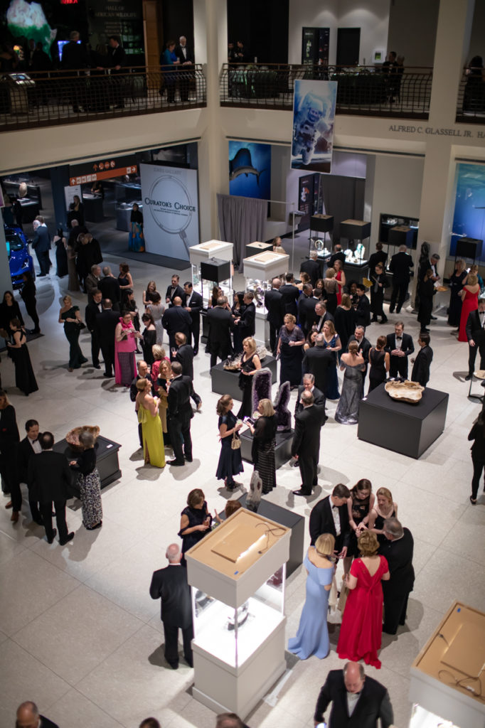 The glories of the Houston Museum of Natural Science were on view during the annual gala, held at the museum. (Photo by Mike Rathke)