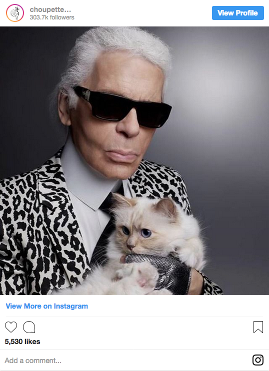 Lagerfeld and Choupette, whom we predict will make a PA in Middleton's upcoming book. (Via @choupettesdiary)