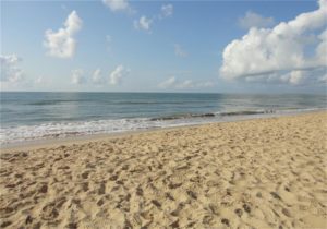 surfside beach