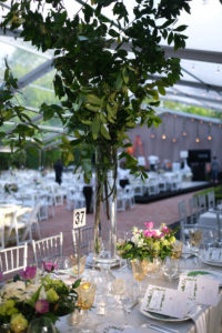 25th Anniversary Trees For Houston Root Ball (2) (Photo by Daniel Ortiz)