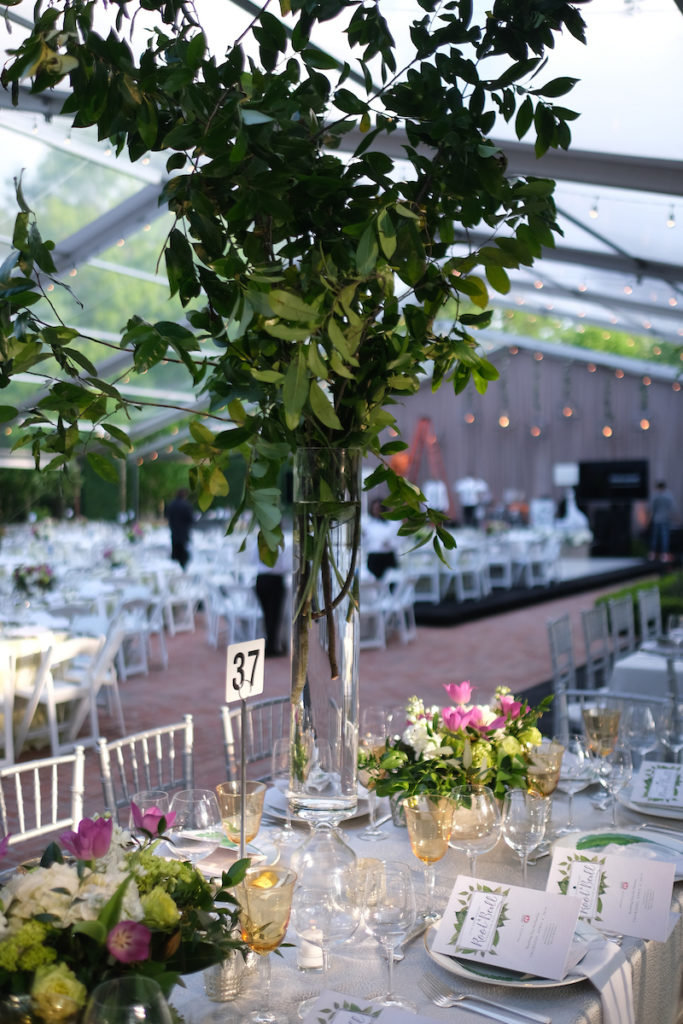 The money tree at the Trees for Houston Root Ball.  (Photo by Daniel Ortiz)