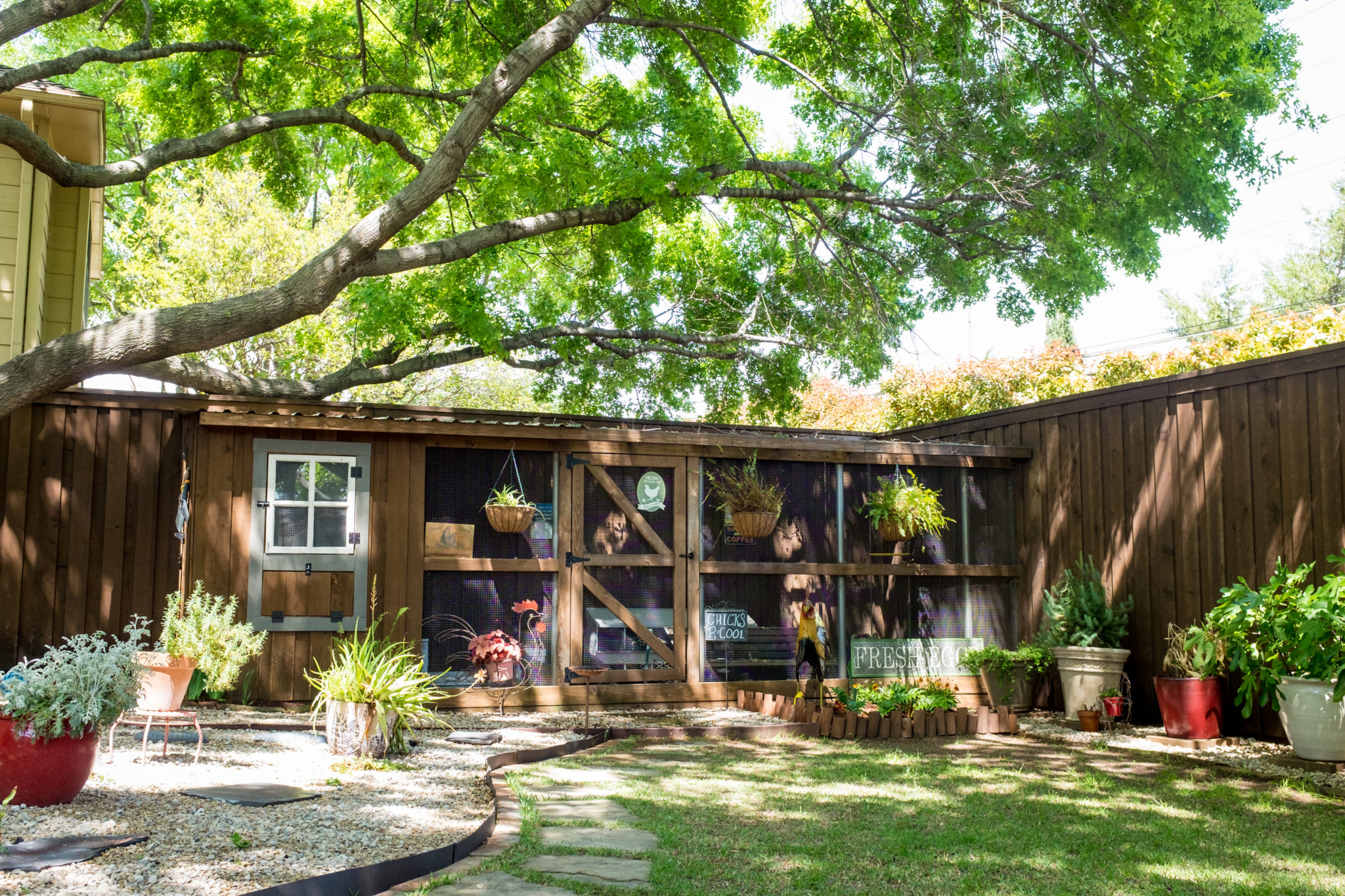 Dallas' Best Chicken Coops Shown Off — You've Never Seen Animal Houses