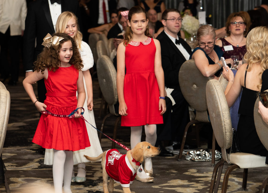 Puppy models Elizabeth Roberts, Camila Young, Paulie Young and puppy Olivia Benson at the University of Houston Law Center gala. (Photo by Jared Jarvis, Jared Jarvis Photography)