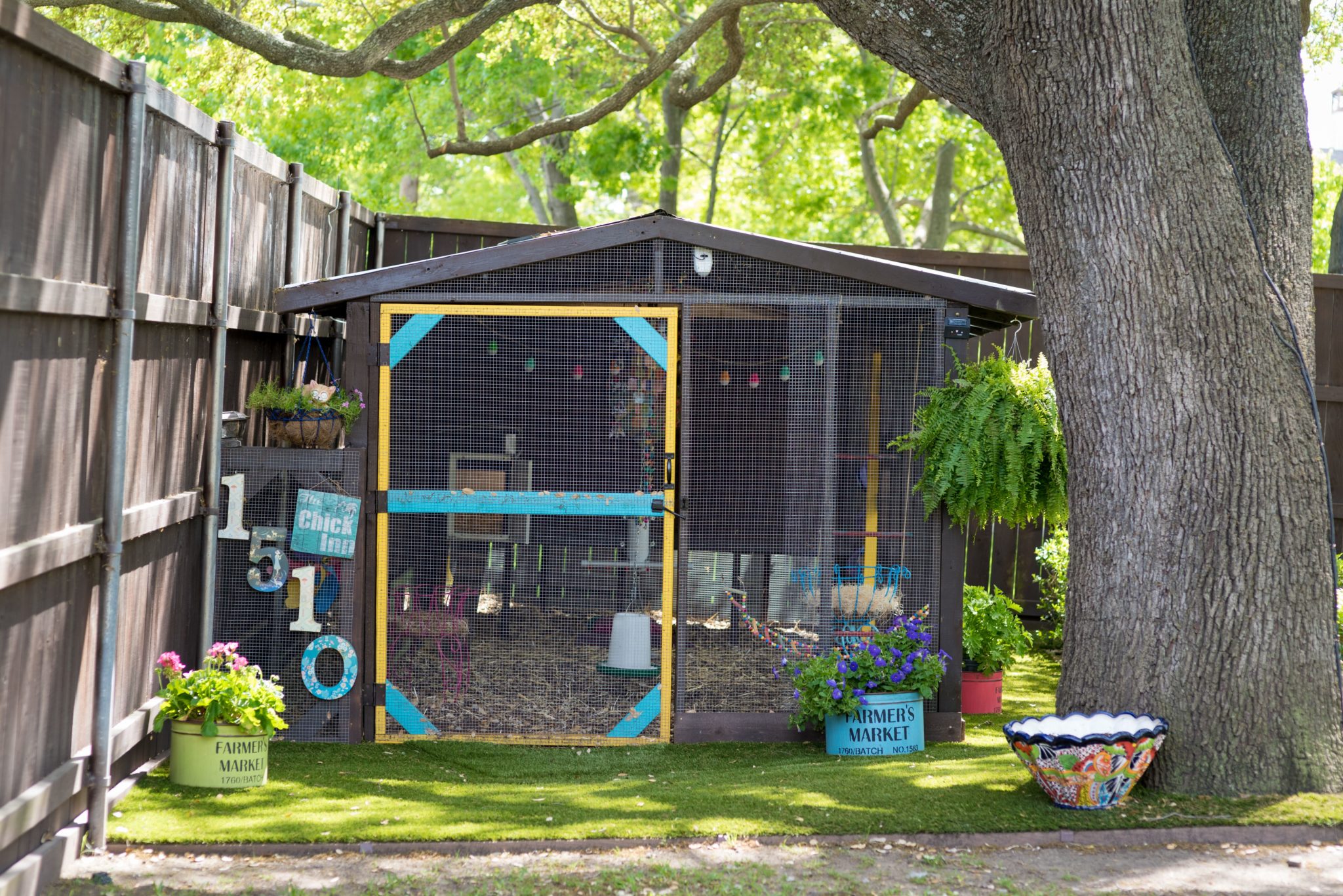 Dallas' Best Chicken Coops Shown Off — You've Never Seen Animal Houses