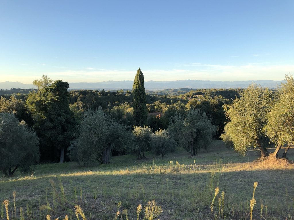 Looking north from Villa Lena toward Montefalcone Nature Reserve (Photo by Bradley Kerl)
