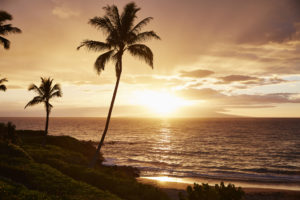 Maui wine culture