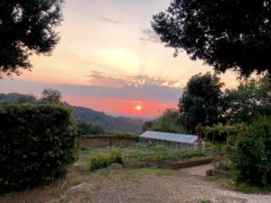 A picturesque Tuscan sunset ended every day at Villa Lena, making this residency unsurpassed. (Photo by Bradley Kerl)