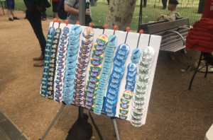 bernie sanders rally discovery green Houston