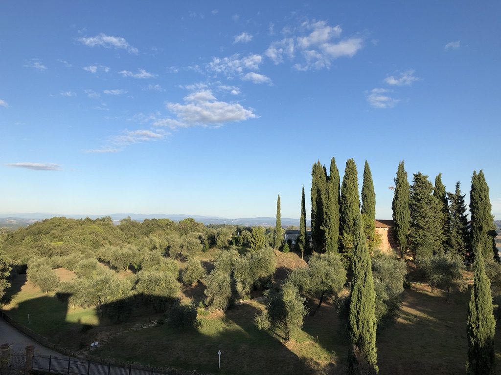 The idyllic grounds at Villa Lena (Photo by Bradley Kerl)