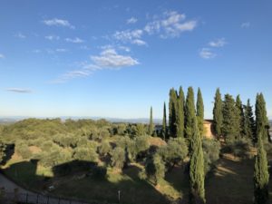The idyllic grounds at Villa Lena (Photo by Bradley Kerl)
