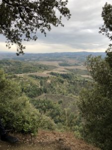 The art of nature: the view from Toiano Vecchio was a bonus of this residency. (Photo by Bradley Kerl)