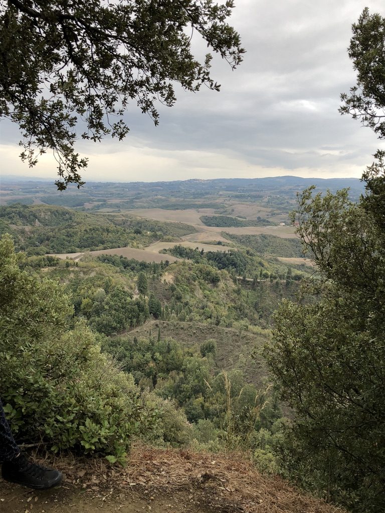 The art of nature: the view from Toiano Vecchio was a bonus of this residency. (Photo by Bradley Kerl)