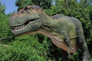 Dinos at Zoo