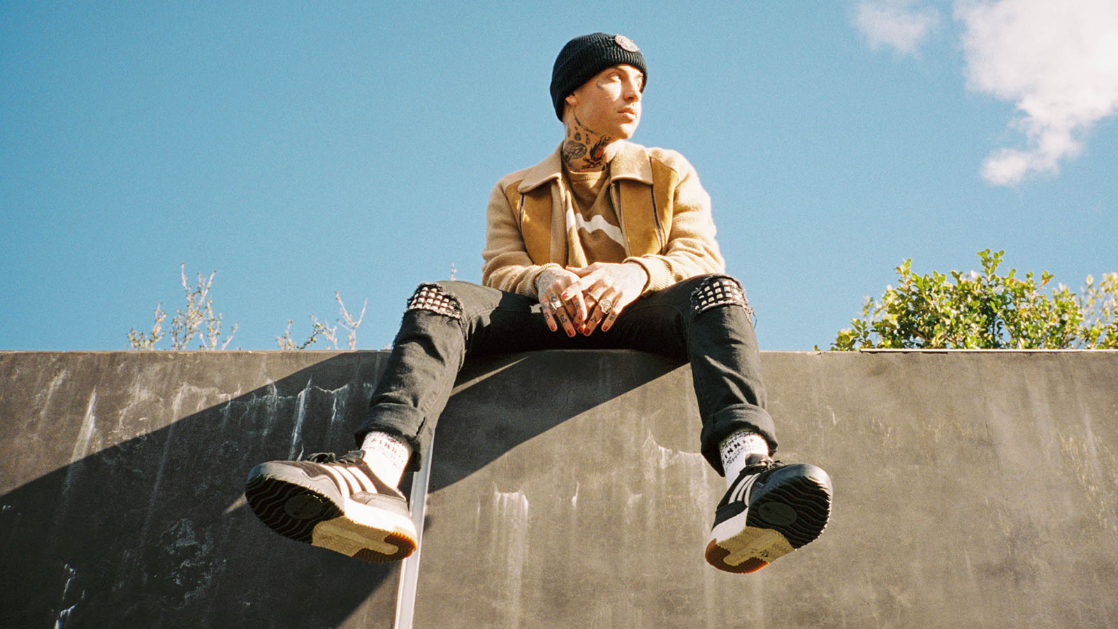 Blackbear
