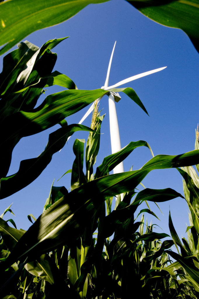 Alan Montgomery's "Blades," 2008, was one of the wind-themed works showcased at Windpower 2019, presented in the booth of Houston gallery Foto Relevance. (Courtesy the artist and Foto Relevance) 