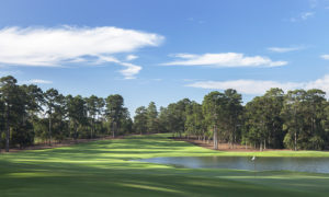 Bluejack National golf