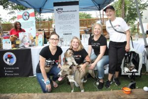 Supporters of the Rescued Pets Movement at the Tony Buzbee Pet Rally at NettBar. (Photo by Quy Tran)