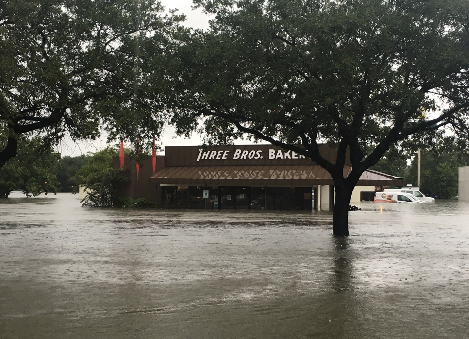 Three Brothers Bakery took in 4.5 feet of floodwater. (Photo by Katrina Kidder)