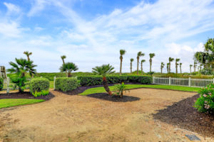 Seaside E 2657 IMG 66_1_1 (Photo by TK Images)