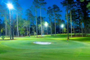 The Playgrounds under the lights at night