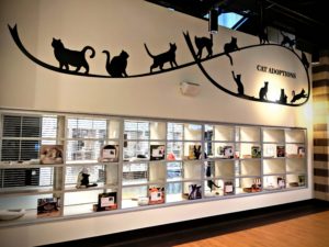 houston spca cat adoptions