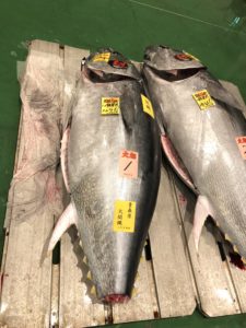 Tuna auction at the Toyosu Fish Market