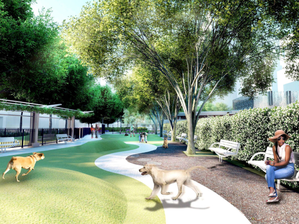 Southern Downtown Park is starting with the dogs.  (Photo by Downtown Redevelopment Authority)