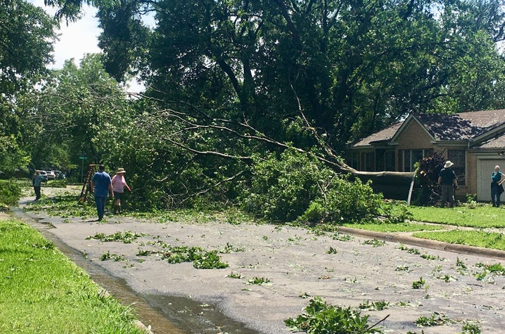 Trees were uprooted near White Rock Lake. Courtesy of Dallas Morning News