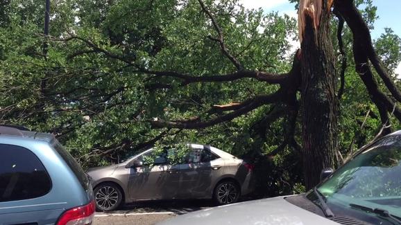 Damage in Casa Linda. Courtesy of NBC News