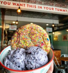 Fat Cat Creamery 3 – Blueberry Stacciatella