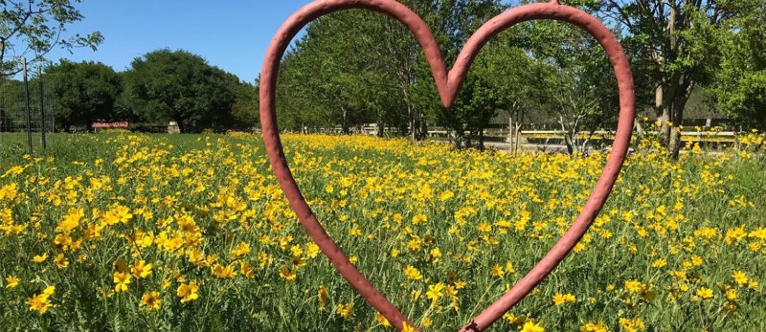 Heart O the Hills