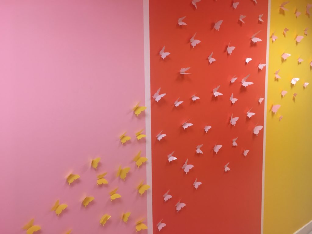 There was sensational color everywhere you look.