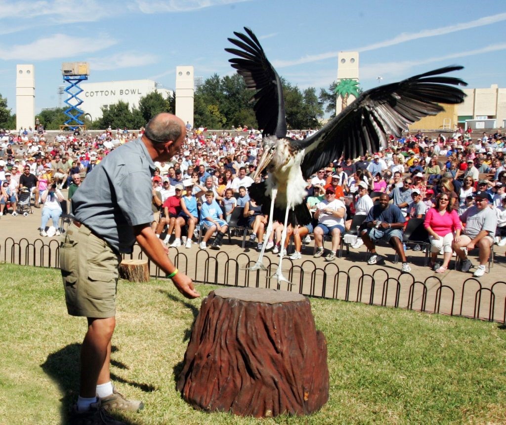 World of Birds is back after six years. Courtesy of State Fair of Texas