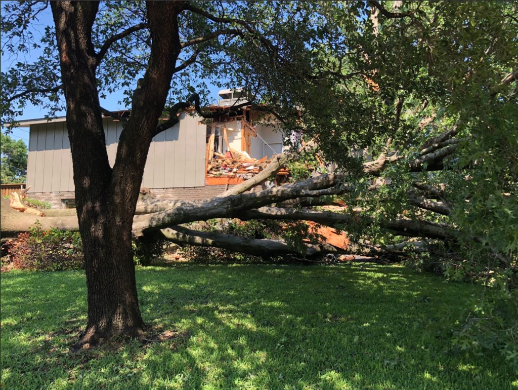 In North Dallas, a tree fell through the roof of a home in Northwood Hills. Photo by Bret Kelly via Twitter
