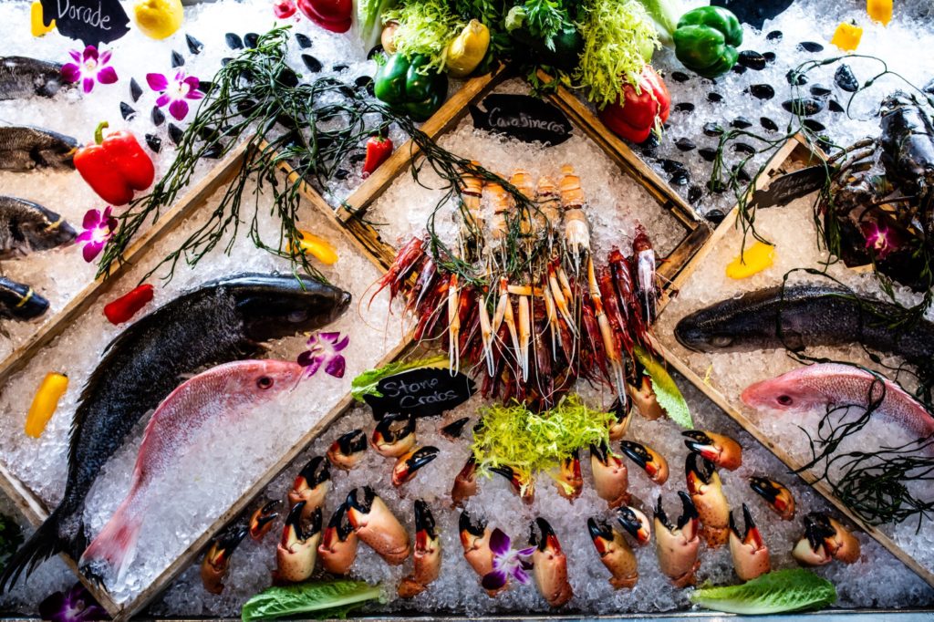 ouzo bay fish display